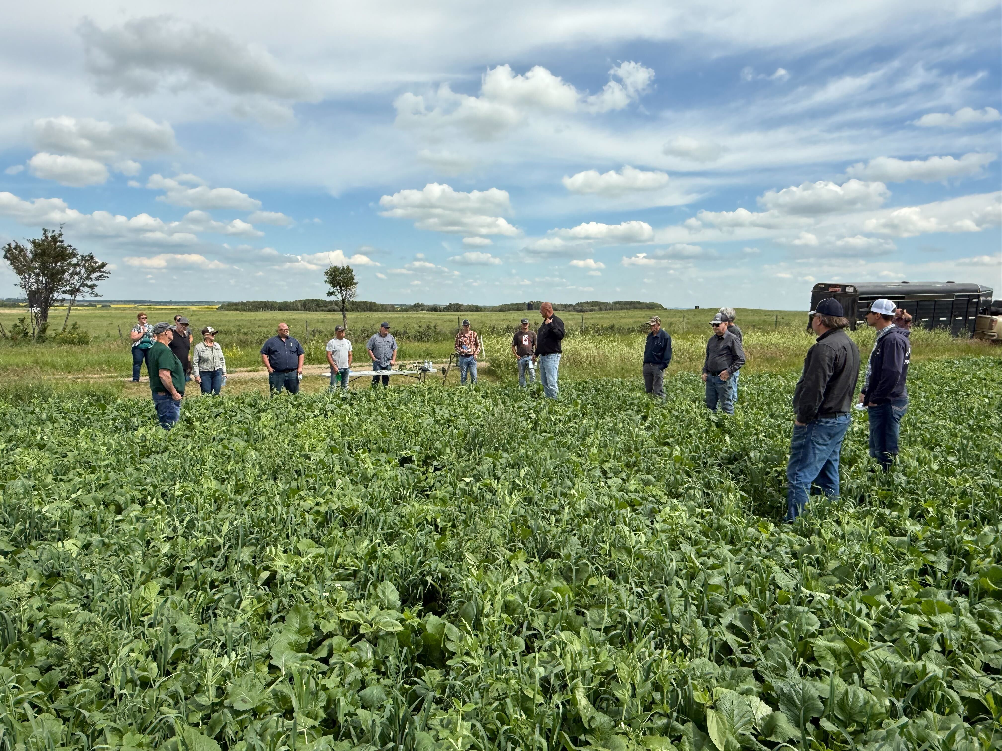 Covers & Co. is opening the gate for a day in the field. Come see what plant diversity looks like on the ground, talk cover crops with folks who actually farm them, and stick around for lunch on us.
When: Monday, July 13 · 10:00 a.m. – 3:00 p.m.
Where: 6 miles south of Shaunavon, just off Highway 37 and Township Road 72
Hosted by: Jon Wiebe
What's on the day:

Grazing tour — walk the stand, see how the blends are performing and how the cattle are working it
Drone demo — a look at what's flying over these acres and what it tells us
Lunch provided — no charge, just come hungry

Bring your questions, bring a neighbour, and wear boots for the pasture. Whether you've been running covers for years or you're just kicking tires, there'll be something worth the drive.
RSVP to Jon at 306-321-7466 so we've got a headcount for food.
Connecting farmers to soil health — one field at a time.
Covers & Co. · A Plant Diversity Company